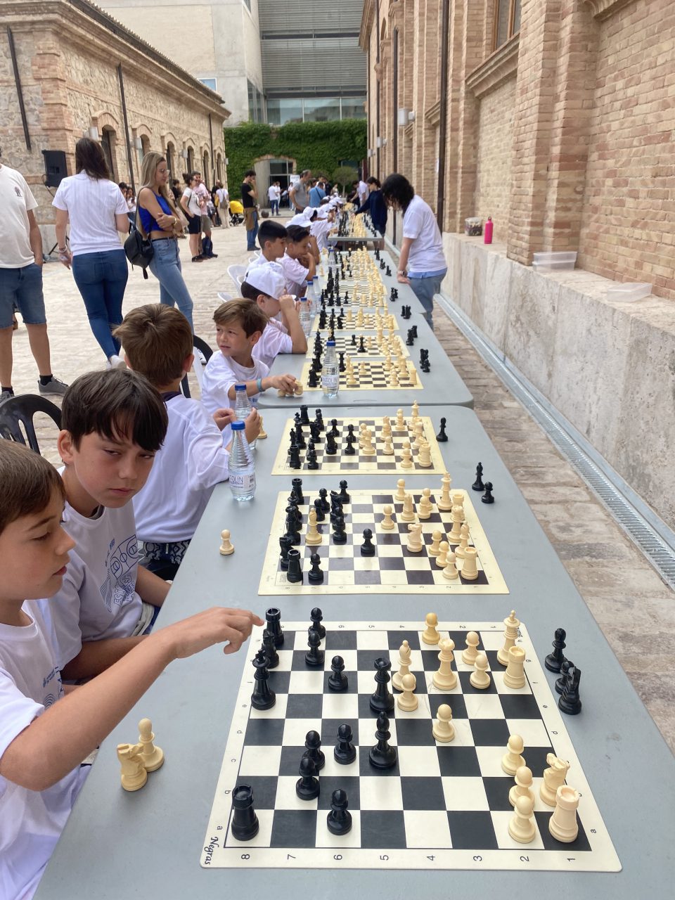 400 名学生参加国际象棋 EEDD 最后一天的同步比赛